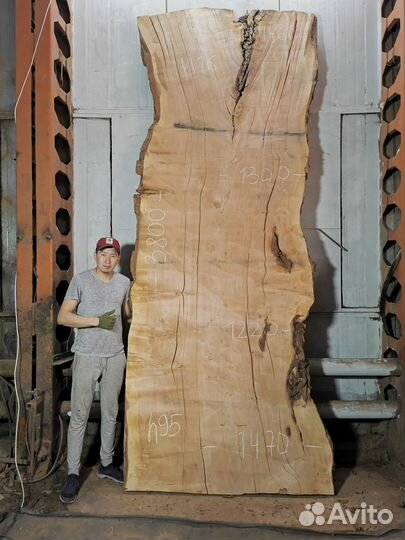 Слэбы из дерева, карагач, граб, бук