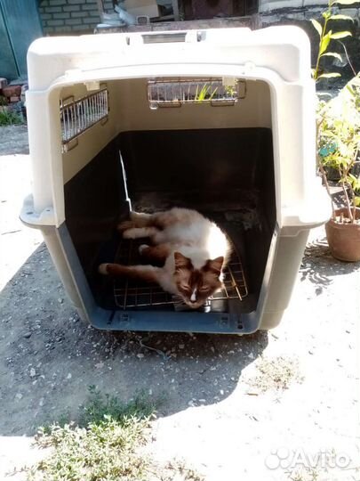 Переноска для собак