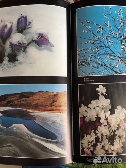 Фотоальбом 