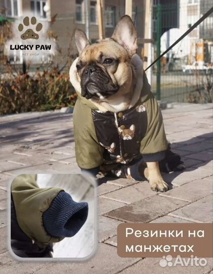 Комбинезон для маленькой собаки 2XL