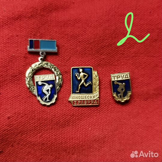 Значки дсо труд