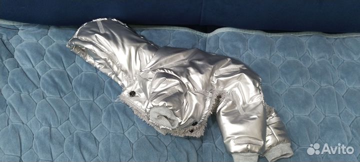 Вещи для собак