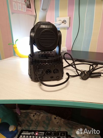 Светавые головы