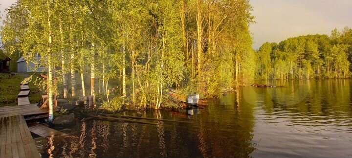 Дом 90 м² на участке 50 сот.