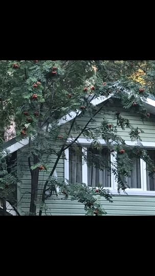 Дача 98 м² на участке 1,5 сот.