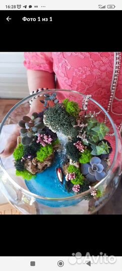Флорариум с суккулентами. Подарок.Учителю