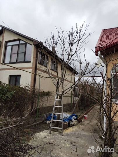 Вспашка мотоблоком, расчистка участков, покос тр