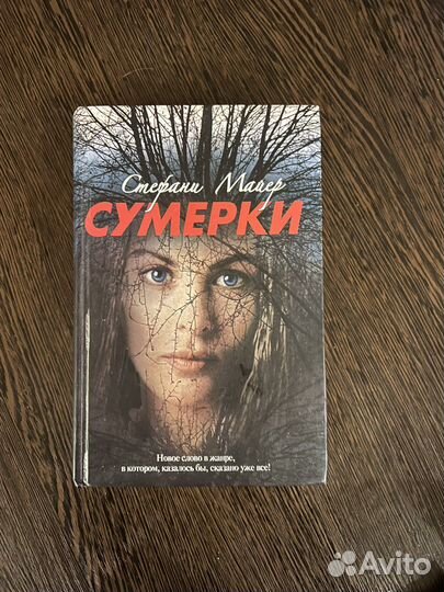 Книга девушка в поезде, сумерки, война и мир