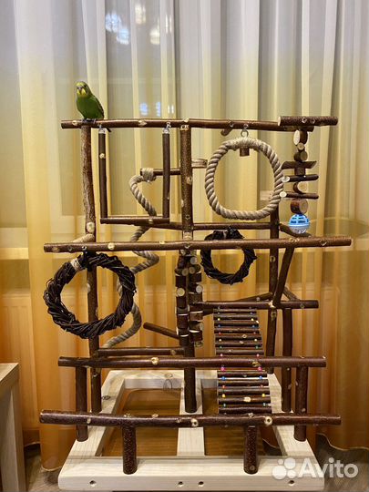 Стенд для попугая