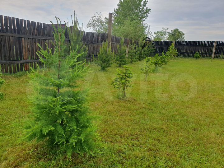 Дом 87 м² на участке 15 сот.