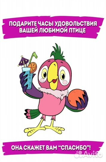 Игрушки для птиц