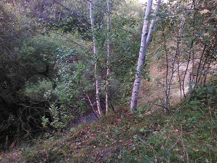 Участок 21 сот. (ИЖС)