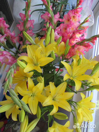 Цветов всегда мало