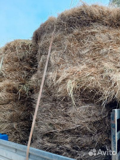 Сено в рулонах с доставкой