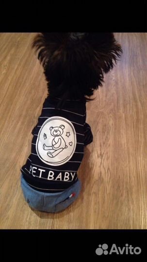 Костюм для собаки