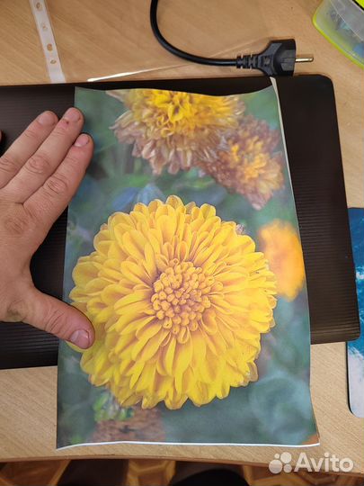 Принтер цветной