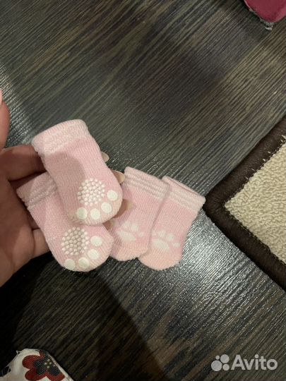 Носочки для собак