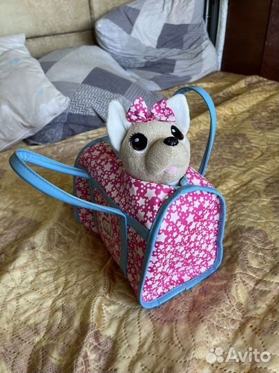 Собака чичилав