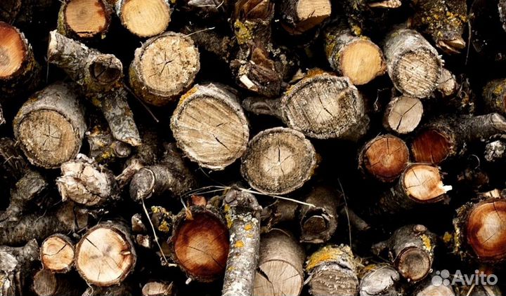 Дрова с Зеленогорска