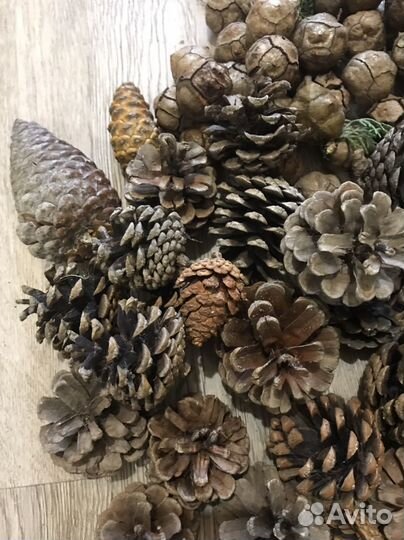 Набор для декора, поделок. Шишки