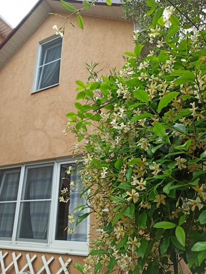 Коттедж 60 м² на участке 3 сот.