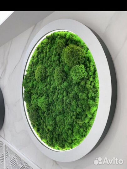 Панно из стабилизированного мха с рамкой