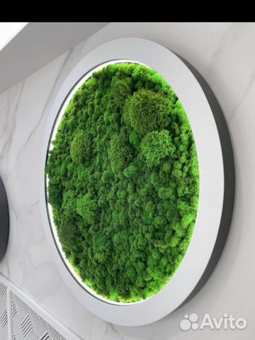 Панно из стабилизированного мха с рамкой