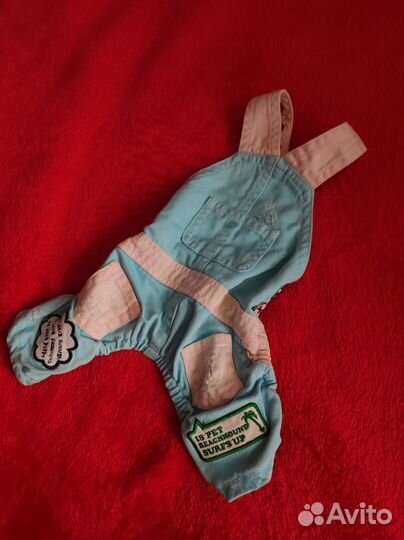 Одежда для собак маленьких пород