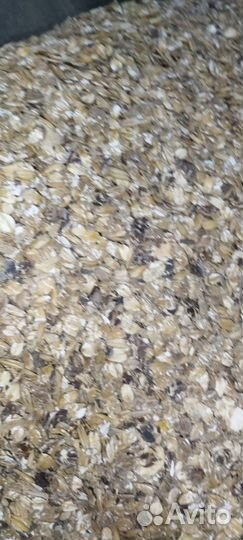 Плющеная зерносмесь