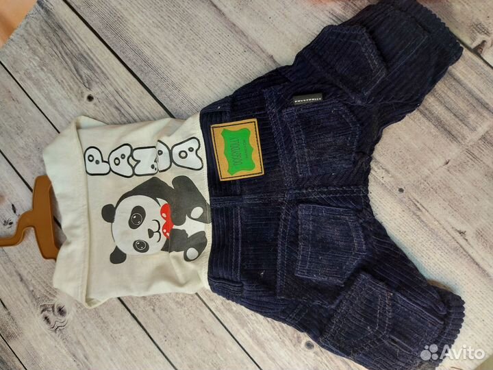 Одежда для собак