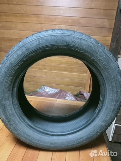 Gislaved Nord Frost 5 205/55 R16