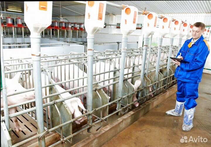 Оператор по уходу за животными