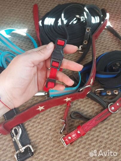 Ошейник для собак. Поводок. Шлейка. Намордник