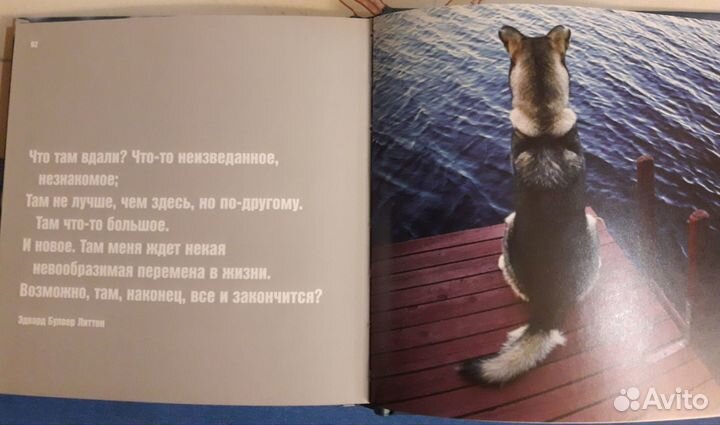 Книжечки для любителей собачек (цена за все)