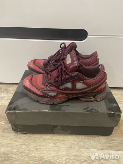 Raf simons ozweego