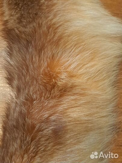 Меховой воротник