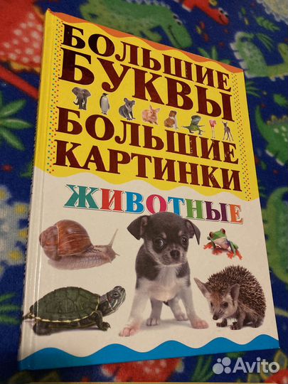 Энциклопедия для детей Животные