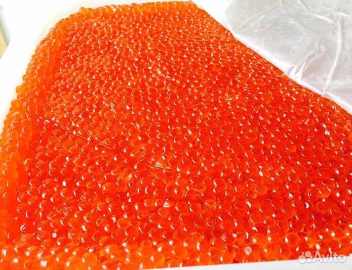 Красная икра горбуши. Вылов июль 2023 года