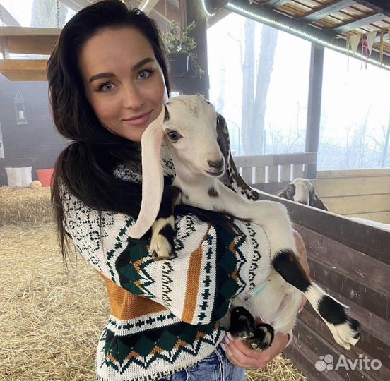 Помощник дизайнера интерьера