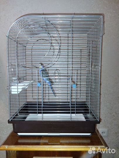 Клетка для птиц