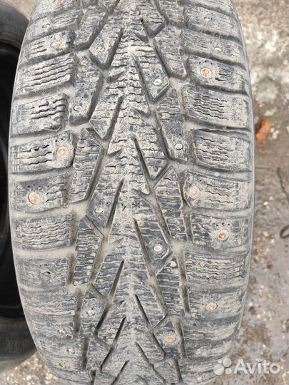 Nokian Tyres Nordman 7 205/50 R17