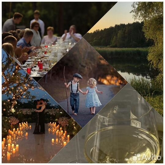 Шаржи, коллажи