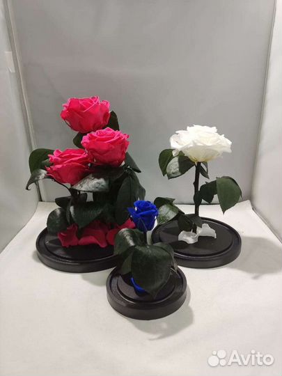 Роза в колбе оптом и в розницу