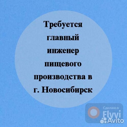 Главный инженер пищевого производства