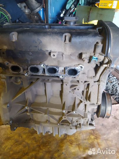 Двигатель ford focus 2 1.6 100 л с shda