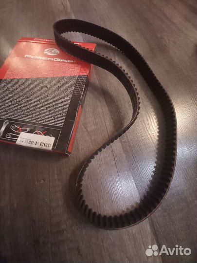 Ремень грм Шкода Октавия