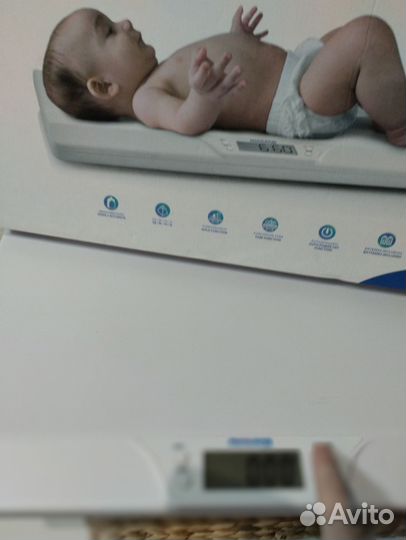 Весы детские