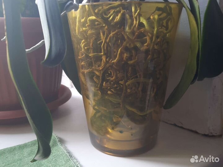 Горшки для цветов