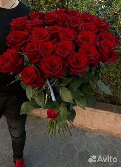 Розы Высокие 150см 160см 170см 180см 190см 2м