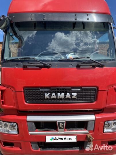 КАМАЗ 5490, 2017